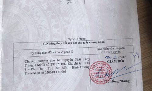 Đất Kiến Đức Dak Nông 10×60